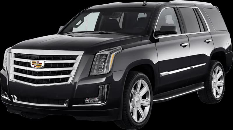 Executive sedan and SUV transportation fleet